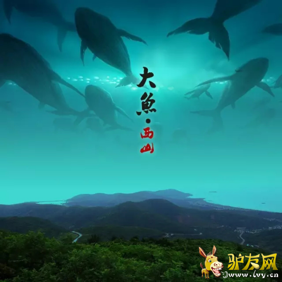 图片15.png